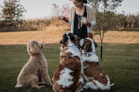 a woman is petting a group of dogs in a field