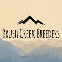 brush creek breeders logo