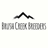 brush creek breeders logo