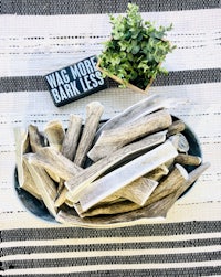 a bowl with a plant and a bowl of bones