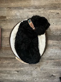 a black dog sleeping on top of a wooden floor