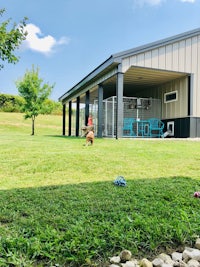 a dog runs in front of a house with a dog kennel