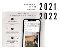 a screen with the words'ranked 2021 in the nation' and an image of a dog