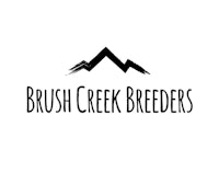 brush creek breeders logo