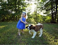 a little girl playing with a dog in the grass