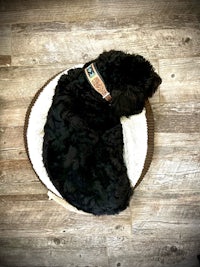 a black dog laying on a wooden floor