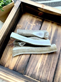 a wooden tray with a set of moose antlers