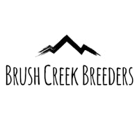 brush creek breeders logo